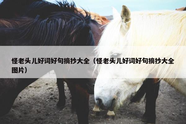怪老头儿好词好句摘抄大全（怪老头儿好词好句摘抄大全图片）