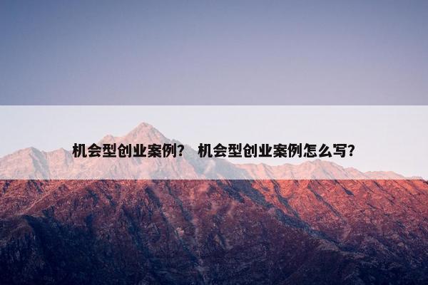 机会型创业案例？ 机会型创业案例怎么写？