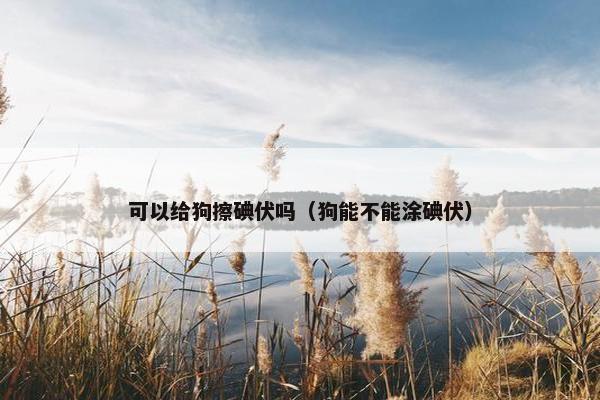 可以给狗擦碘伏吗（狗能不能涂碘伏）