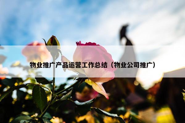 物业推广产品运营工作总结（物业公司推广）