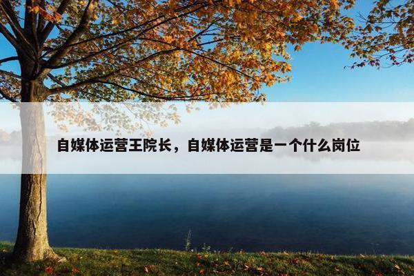 自媒体运营王院长，自媒体运营是一个什么岗位