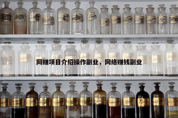 网赚项目介绍操作副业，网络赚钱副业