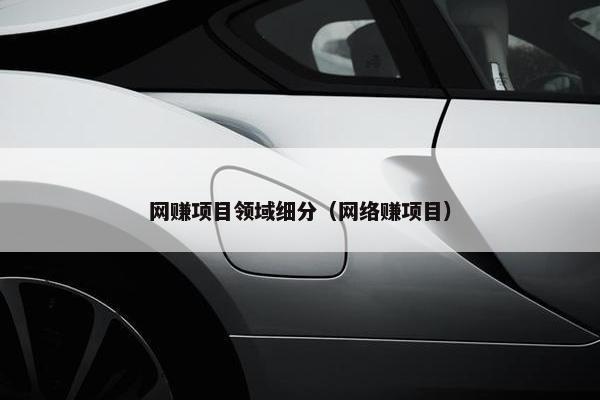 网赚项目领域细分（网络赚项目）