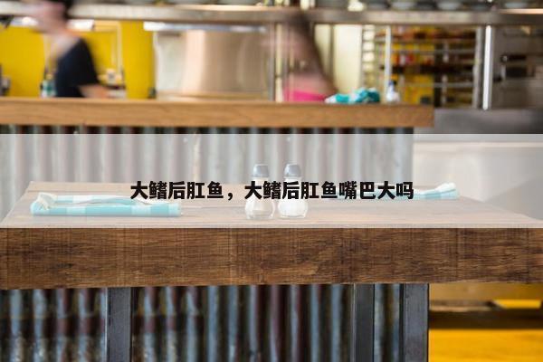 大鳍后肛鱼，大鳍后肛鱼嘴巴大吗