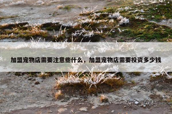 加盟宠物店需要注意些什么，加盟宠物店需要投资多少钱