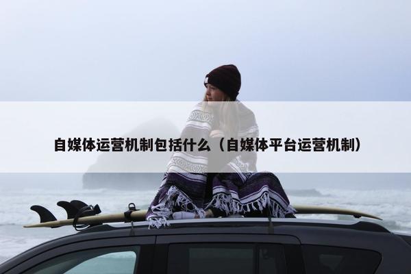 自媒体运营机制包括什么（自媒体平台运营机制）