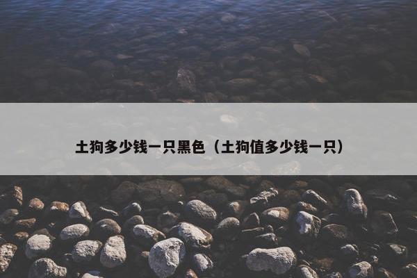 土狗多少钱一只黑色（土狗值多少钱一只）