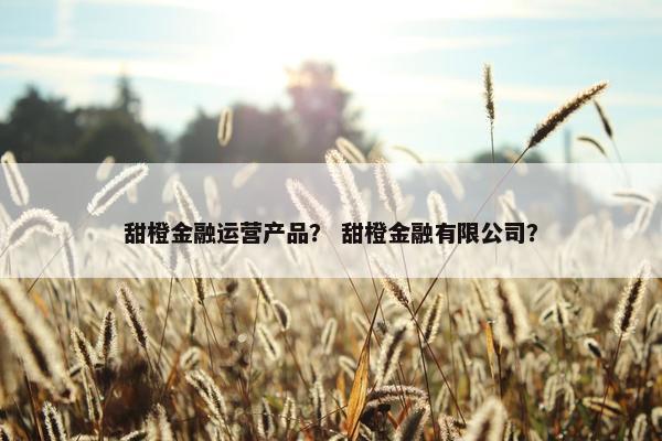 甜橙金融运营产品？ 甜橙金融有限公司？