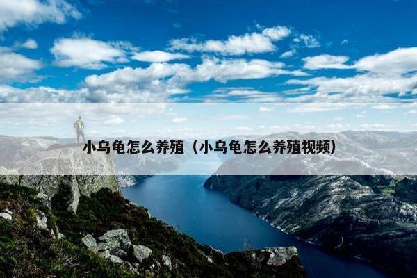 小乌龟怎么养殖（小乌龟怎么养殖视频）