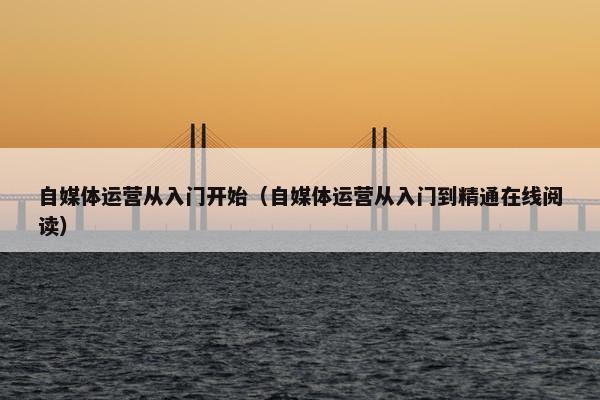 自媒体运营从入门开始（自媒体运营从入门到精通在线阅读）