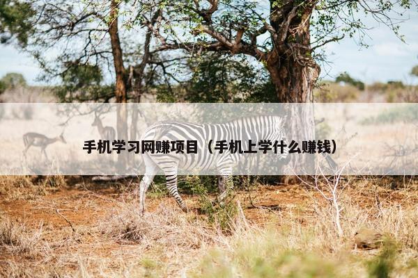 手机学习网赚项目（手机上学什么赚钱）