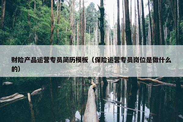 财险产品运营专员简历模板（保险运营专员岗位是做什么的）
