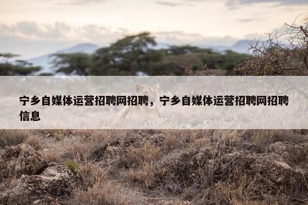 宁乡自媒体运营招聘网招聘，宁乡自媒体运营招聘网招聘信息
