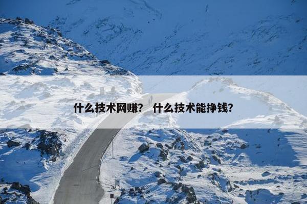 什么技术网赚？ 什么技术能挣钱？