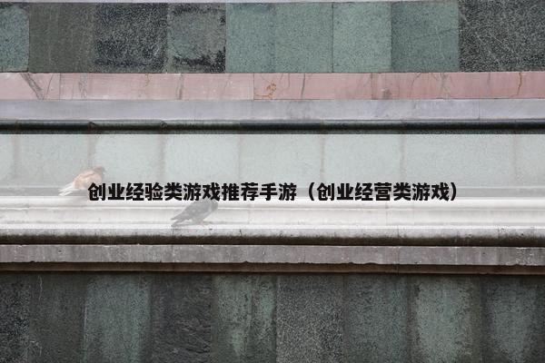 创业经验类游戏推荐手游（创业经营类游戏）