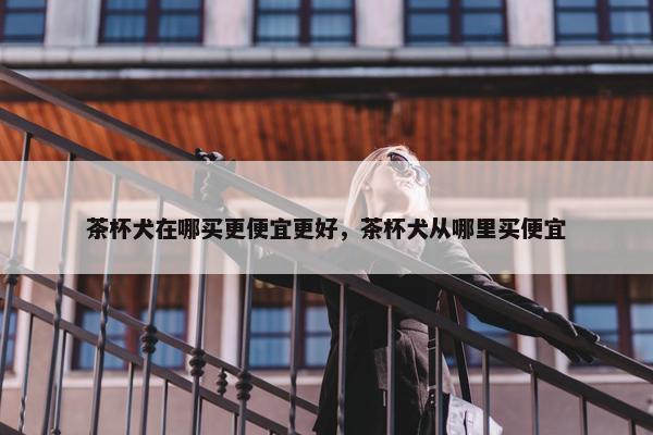 茶杯犬在哪买更便宜更好，茶杯犬从哪里买便宜