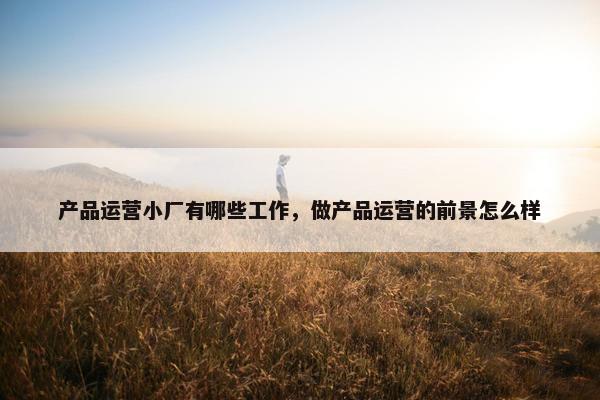 产品运营小厂有哪些工作，做产品运营的前景怎么样