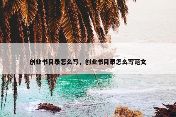 创业书目录怎么写，创业书目录怎么写范文