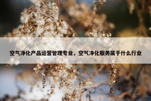 空气净化产品运营管理专业，空气净化服务属于什么行业