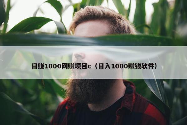日赚1000网赚项目c（日入1000赚钱软件）