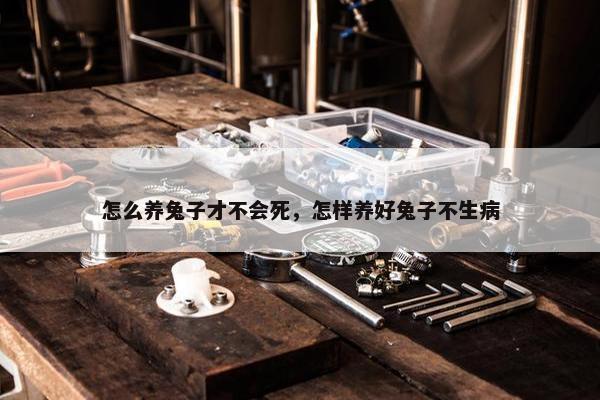 怎么养兔子才不会死，怎样养好兔子不生病