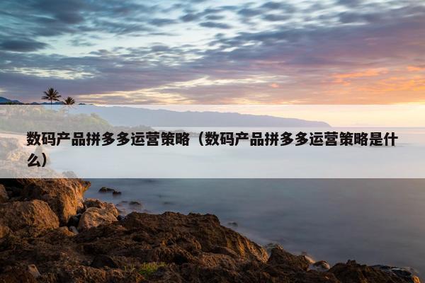 数码产品拼多多运营策略（数码产品拼多多运营策略是什么）