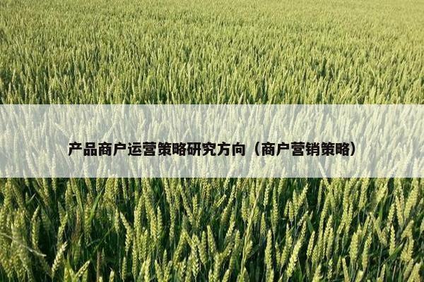 产品商户运营策略研究方向（商户营销策略）