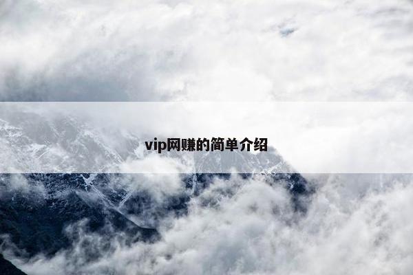 vip网赚的简单介绍