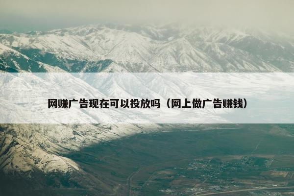 网赚广告现在可以投放吗（网上做广告赚钱）