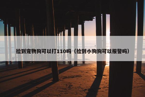 捡到宠物狗可以打110吗（捡到小狗狗可以报警吗）