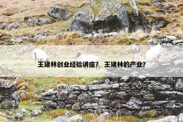 王建林创业经验讲座？ 王建林的产业？