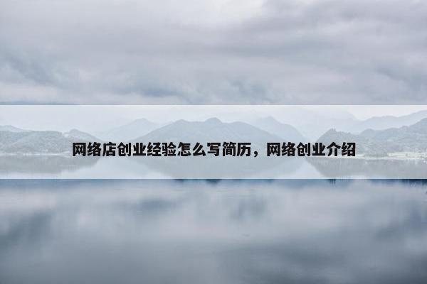 网络店创业经验怎么写简历，网络创业介绍