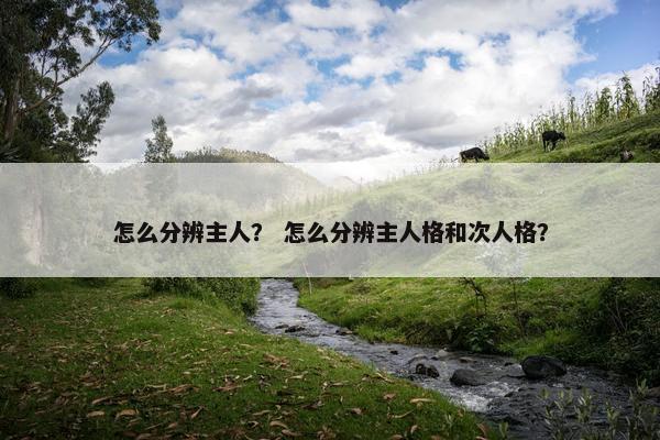 怎么分辨主人？ 怎么分辨主人格和次人格？