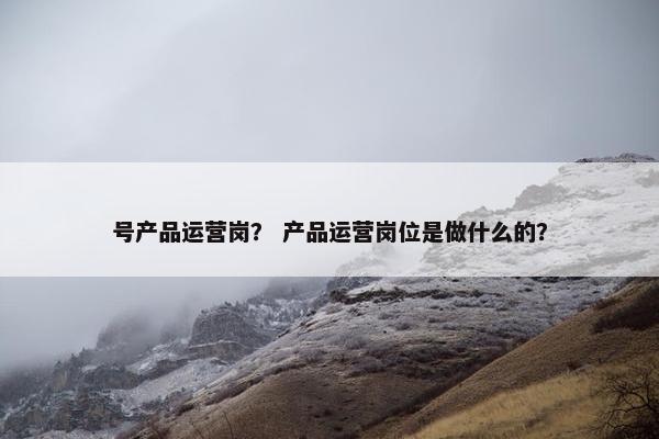 号产品运营岗？ 产品运营岗位是做什么的？