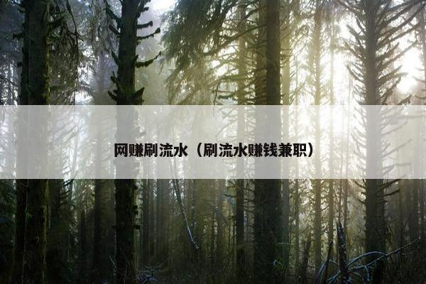 网赚刷流水（刷流水赚钱兼职）