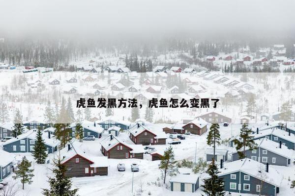 虎鱼发黑方法，虎鱼怎么变黑了