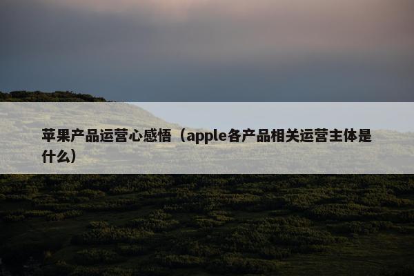 苹果产品运营心感悟（apple各产品相关运营主体是什么）