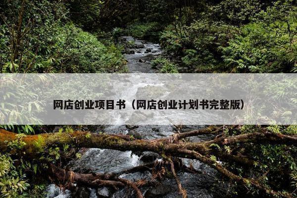 网店创业项目书（网店创业计划书完整版）