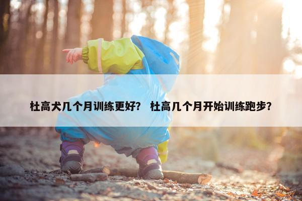杜高犬几个月训练更好？ 杜高几个月开始训练跑步？