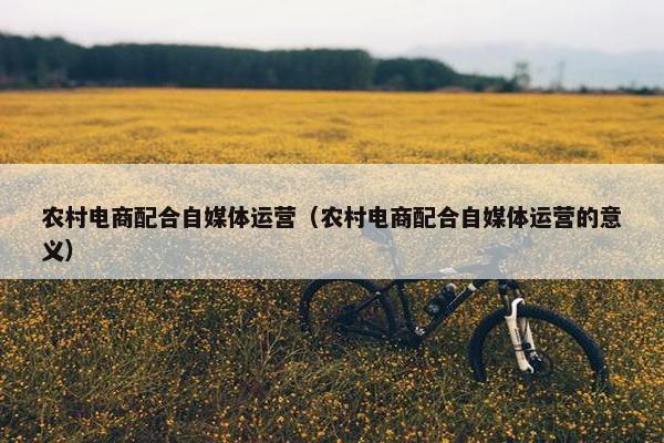 农村电商配合自媒体运营（农村电商配合自媒体运营的意义）