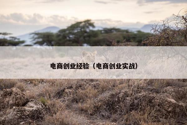 电商创业经验（电商创业实战）