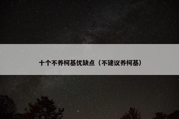 十个不养柯基优缺点（不建议养柯基）