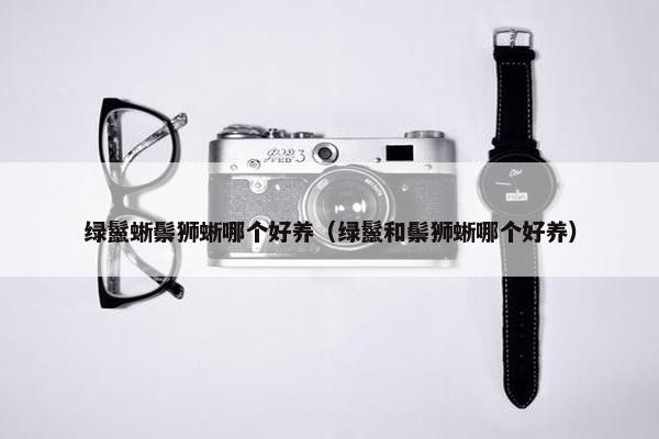 绿鬣蜥鬃狮蜥哪个好养（绿鬣和鬃狮蜥哪个好养）