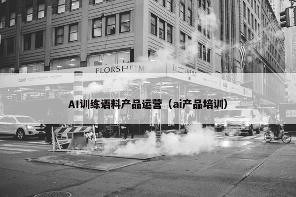 AI训练语料产品运营（ai产品培训）