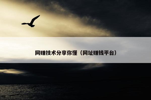 网赚技术分享你懂（网址赚钱平台）