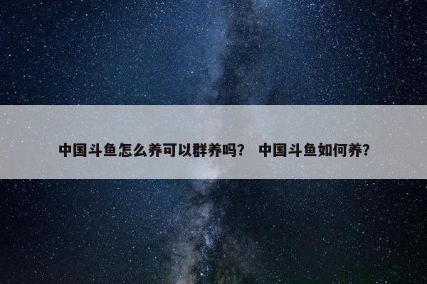 中国斗鱼怎么养可以群养吗？ 中国斗鱼如何养？