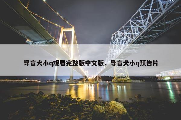 导盲犬小q观看完整版中文版，导盲犬小q预告片