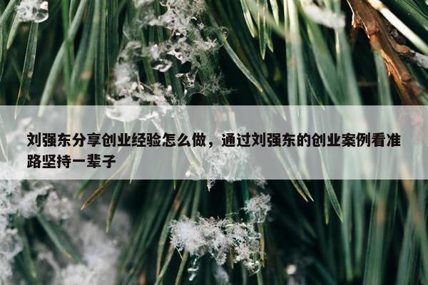刘强东分享创业经验怎么做，通过刘强东的创业案例看准路坚持一辈子