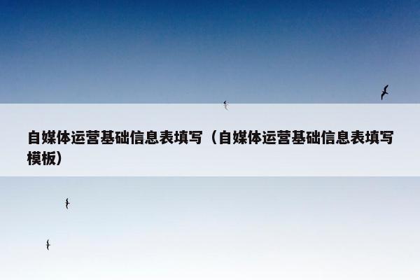 自媒体运营基础信息表填写（自媒体运营基础信息表填写模板）