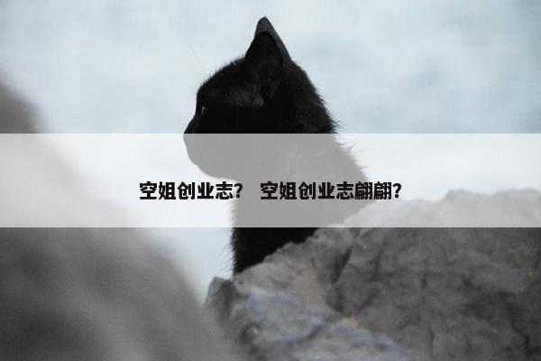 空姐创业志？ 空姐创业志翩翩？